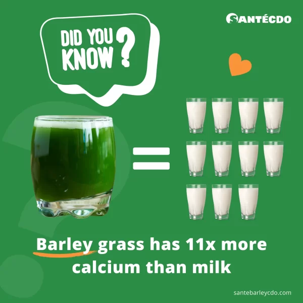Santé Barley Benefits Comparison Banner