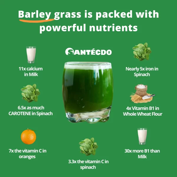 Santé Barley Benefits Comparison Banner