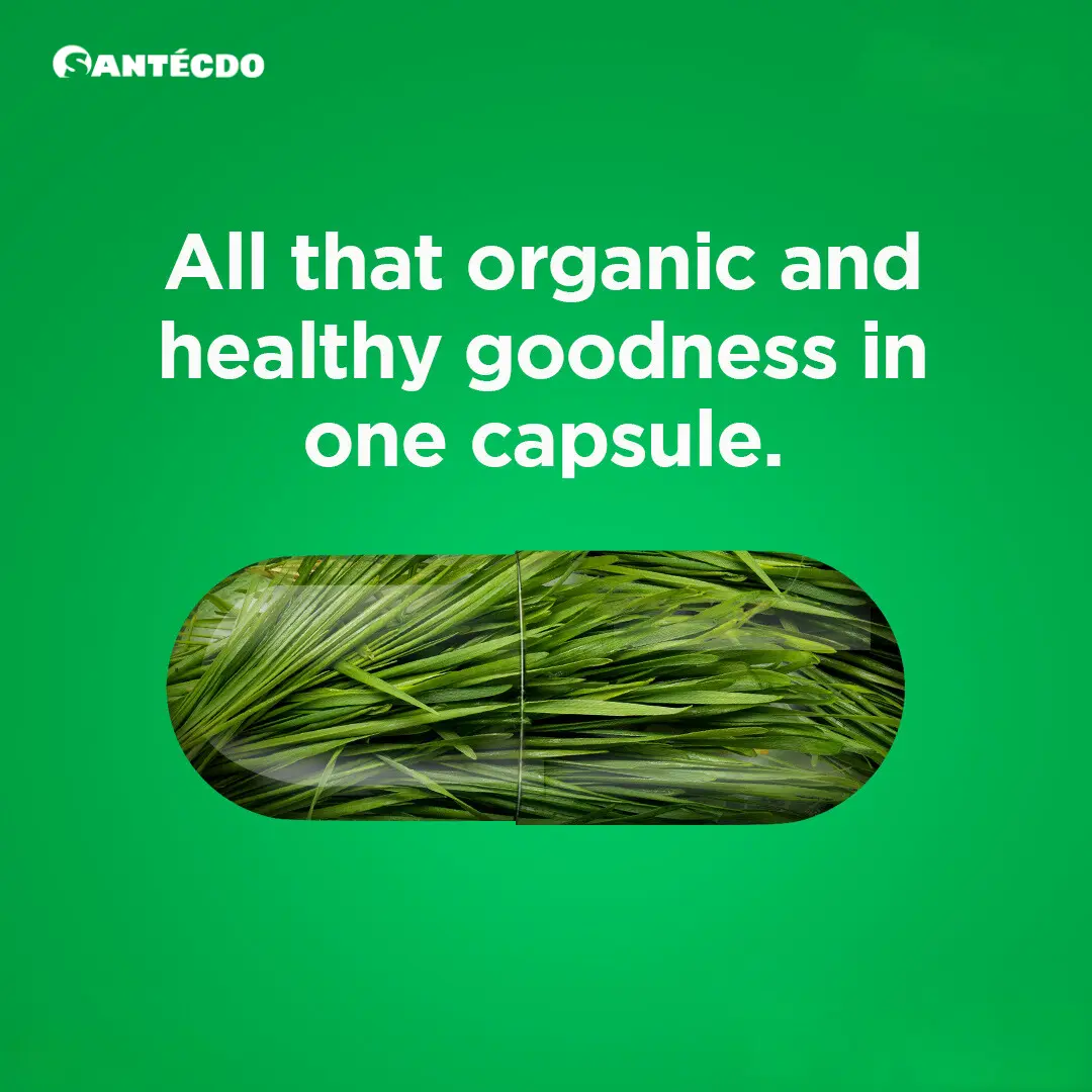 Your-paragraph-text-5 Santé Barley Capsule Banner